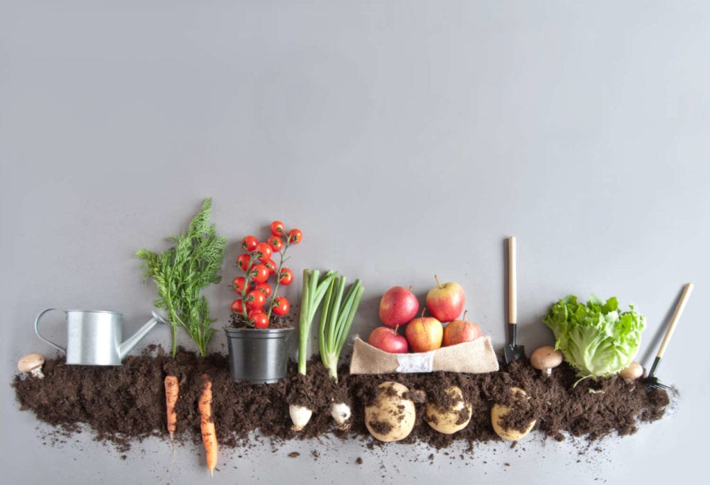 Vegetables & Soil