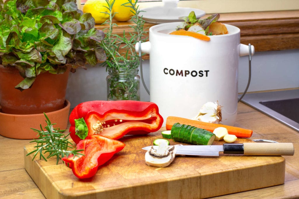 Compost Bin & Vegetables