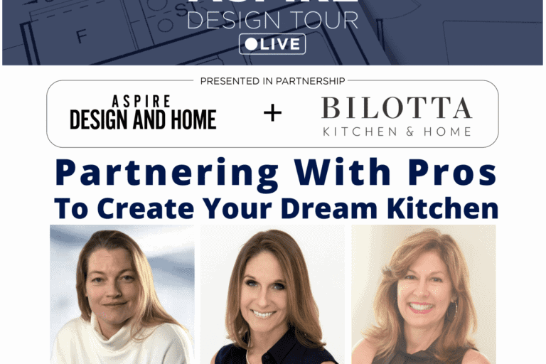 Aspire Metro "Partnering with Pros to Create Your Dream Kitchen" webinar