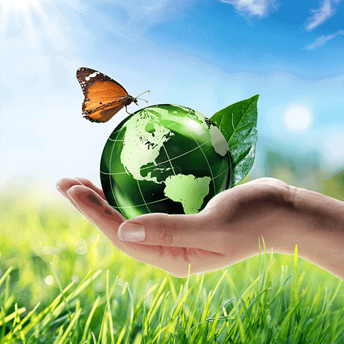 A hand holding a small green globe with butterfly and leave on it