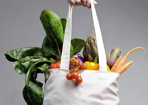 Hand holding reusable canvas bag full of vegetables